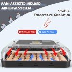 Sailnovo 70-Egg Incubator with Auto Turning & Humidity