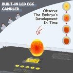 Sailnovo 70-Egg Incubator with Auto Turning & Humidity