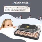 Sailnovo 70-Egg Incubator with Auto Turning & Humidity