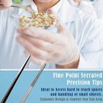 Precision Stainless Steel Forceps - 8 Inch