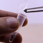 Microcentrifuge Tubes - 1000pcs, 0.2ml, Snap Cap