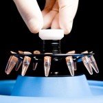 Microcentrifuge Tubes - 1000pcs, 0.2ml, Snap Cap