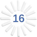 16PCS Magnetic Stirring Rod Set for Labs