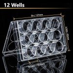 12 Well Cell Culture Plates - 5 Pack