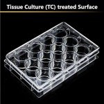 12 Well Cell Culture Plates - 5 Pack