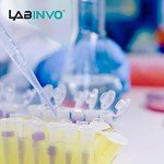 500 Pack Sterile 1.5ml Microcentrifuge Tubes