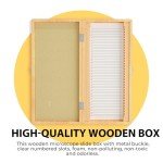 50-Slide Microscope Storage Box with Cork Lining