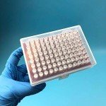 Universal 200µL Filter Pipette Tips - 960 Pack