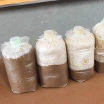 64 Synthetic Filter Paper Stickers for Mushroom Cultivation