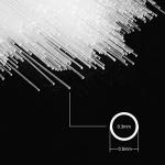 StonyLab Micro Glass Capillary Tubes, Pack of 1000