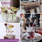 20pcs Glass Test Tubes with Cork Stoppers