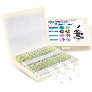 100 Microscope Slides with Specimens for All Ages