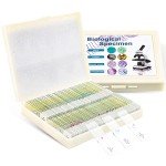 100 Microscope Slides with Specimens for All Ages
