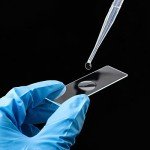 Concave Microscope Slides - 50pcs Glass Set