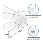 100 Microscope Slides with Specimens for All Ages