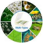 100 Microscope Slides with Specimens for All Ages