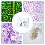 Concave Microscope Slides - 50pcs Glass Set