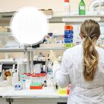 ULTECHNOVO 500pcs Glass Capillary Tubes and Pipettes