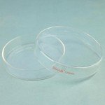 Glass Petri Dish 120x25 mm with Clear Lid