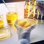 Glass Petri Dish 120x25 mm with Clear Lid