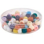 Clear Small Round Petri Dishes - 4 Pack