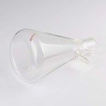 StonyLab 1000ml Borosilicate Glass Filtering Flask