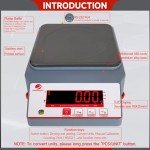 AMGPRSTE 6000g Precision Lab Digital Balance