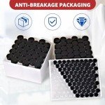 100 PCS 20ml Clear Glass Vials with Screw Caps