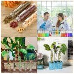 Clear Plastic Test Tubes with Caps - 60 Pack