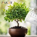 ULAB 3000ml Plastic Beakers with Handle, Graduated