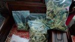 Othmro 300Pcs Clear Specimen Bags with Biohazard Logo