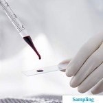 6-Piece Glass Graduated Dropper Pipettes Set