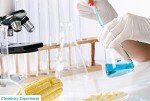 6-Piece Glass Graduated Dropper Pipettes Set