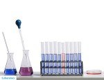 6-Piece Glass Graduated Dropper Pipettes Set