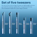 Precision Stainless Steel Entomology Forceps Set - 5 Pcs