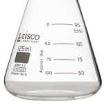 EISCO 125mL Borosilicate Glass Erlenmeyer Flask