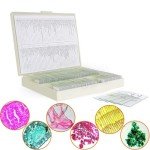100 Prepared Microscope Slides for Kids & Adults