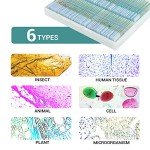 100 Prepared Microscope Slides for Kids & Adults