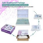 100 Prepared Microscope Slides for Kids & Adults
