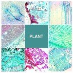 100 Prepared Microscope Slides for Kids & Adults