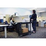Rubbermaid RM Utility Cart 2-Shelf Black