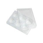 10-Pack 6-Well Tissue Culture Plates with Lids