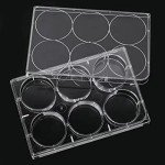 10-Pack 6-Well Tissue Culture Plates with Lids
