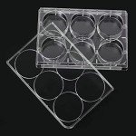 10-Pack 6-Well Tissue Culture Plates with Lids