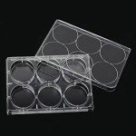 10-Pack 6-Well Tissue Culture Plates with Lids