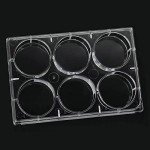 10-Pack 6-Well Tissue Culture Plates with Lids