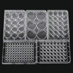 10-Pack 6-Well Tissue Culture Plates with Lids