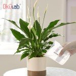 Okulab 6-Piece 150ml Plastic Beaker Set