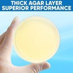 Evviva Sciences Nutrient Agar Plates for Experiments