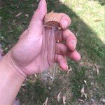 30ml Glass Vials with Cork Stopper - 12 Pack